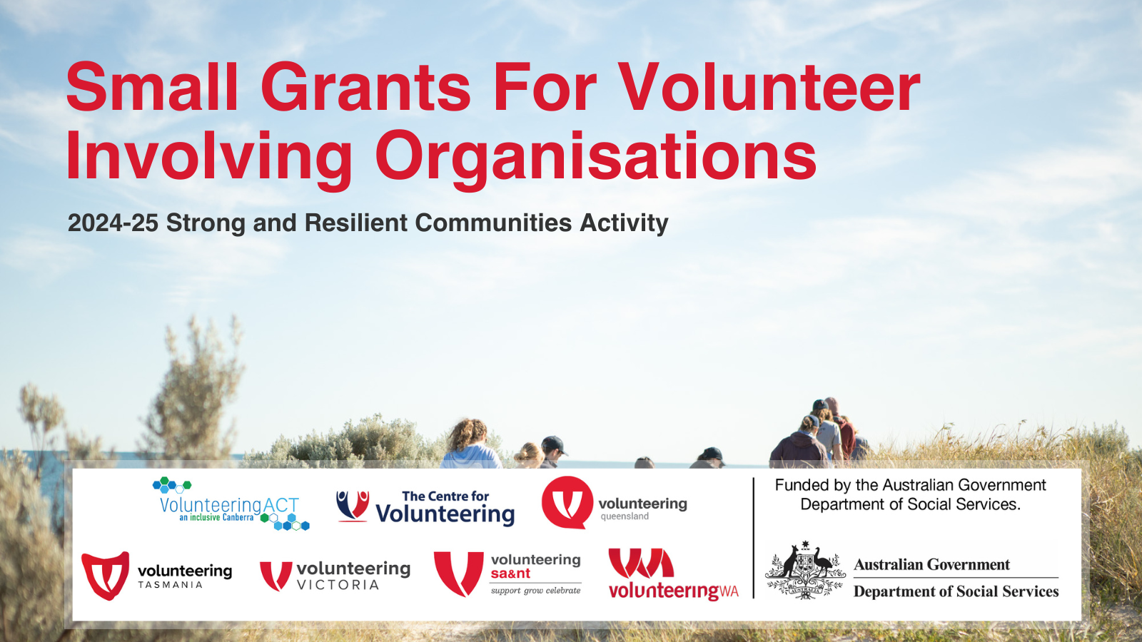 Text reads 'Small Grants For Volunteer Involving Organisations. 2024-25 Strong and Resilient Communities Activity'. The logos of the State and Territory Peak Bodies are displayed at the bottom, alongside the Australian Government Department of Social Services logo