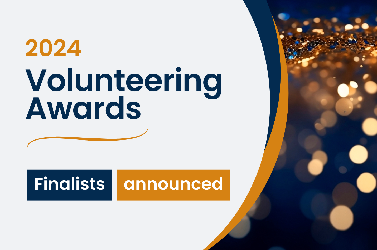 2024 Volunteering Awards: Finalists announced